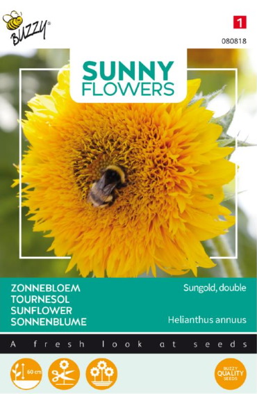 Sunflower Sungold Small (Helianthus) 125 seeds BU